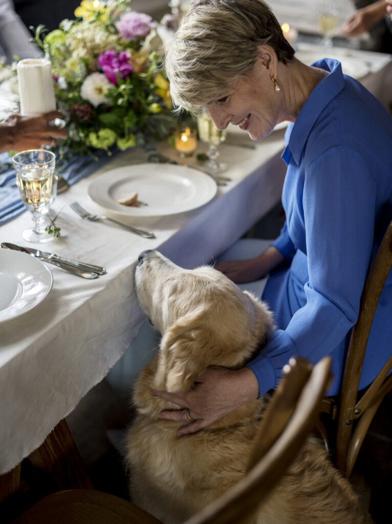 Dog enjoying thanksgiving